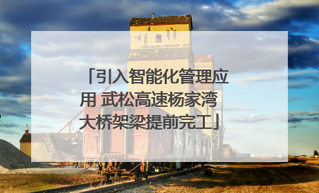 引入智能化管理应用 武松高速杨家湾大桥架梁提前完工