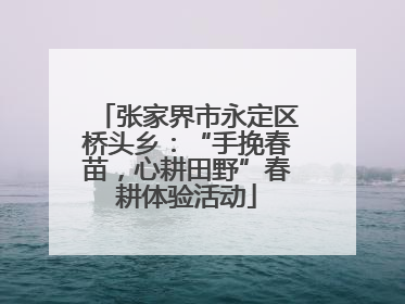 张家界市永定区桥头乡：“手挽春苗，心耕田野”春耕体验活动