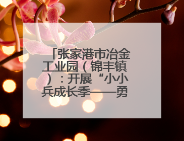 张家港市冶金工业园（锦丰镇）：开展“小小兵成长季——勇敢挑战营”国防启蒙教育活动