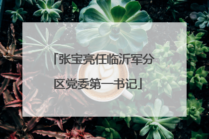 张宝亮任临沂军分区党委第一书记