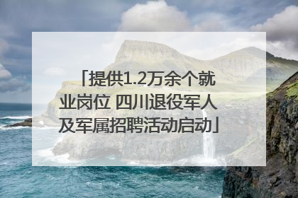 提供1.2万余个就业岗位 四川退役军人及军属招聘活动启动