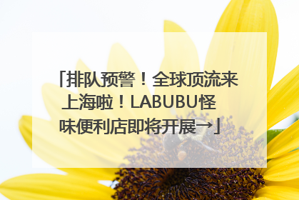 排队预警！全球顶流来上海啦！LABUBU怪味便利店即将开展→