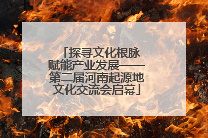 探寻文化根脉 赋能产业发展——第二届河南起源地文化交流会启幕