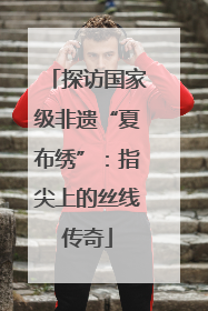 探访国家级非遗“夏布绣”：指尖上的丝线传奇