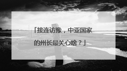 接连访豫，中亚国家的州长最关心啥？