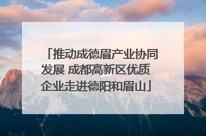 推动成德眉产业协同发展 成都高新区优质企业走进德阳和眉山