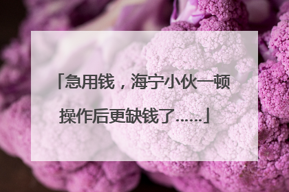 急用钱，海宁小伙一顿操作后更缺钱了……
