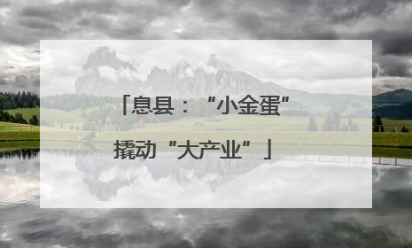 息县：“小金蛋”撬动“大产业”