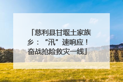 慈利县甘堰土家族乡：“汛”速响应！奋战抢险救灾一线