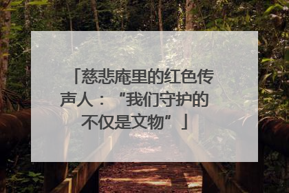 慈悲庵里的红色传声人：“我们守护的不仅是文物”