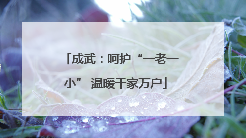 成武：呵护“一老一小” 温暖千家万户