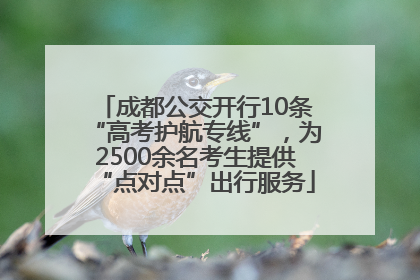 成都公交开行10条“高考护航专线”，为2500余名考生提供“点对点”出行服务