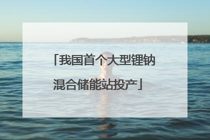 我国首个大型锂钠混合储能站投产