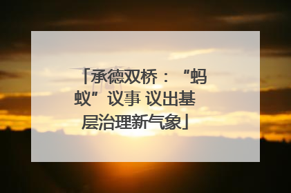 承德双桥：“蚂蚁”议事 议出基层治理新气象