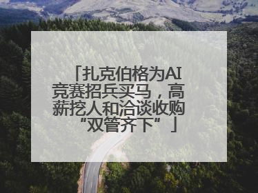 扎克伯格为AI竞赛招兵买马，高薪挖人和洽谈收购“双管齐下”