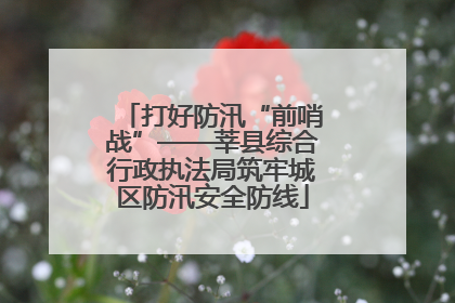 打好防汛“前哨战”——莘县综合行政执法局筑牢城区防汛安全防线