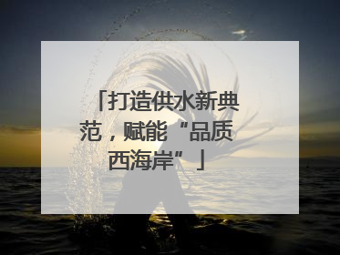 打造供水新典范，赋能“品质西海岸”