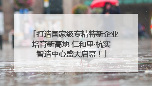 打造国家级专精特新企业培育新高地 仁和里·杭实智造中心盛大启幕！