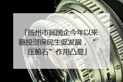 扬州市属国企今年以来稳投资保民生促发展，“压舱石”作用凸显