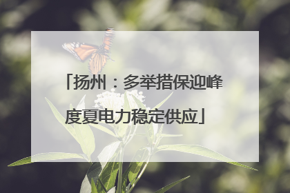 扬州：多举措保迎峰度夏电力稳定供应