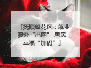 抚顺望花区：就业服务“出圈” 居民幸福“加码”