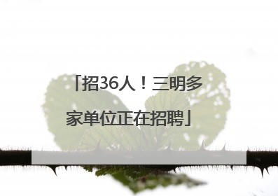 招36人！三明多家单位正在招聘
