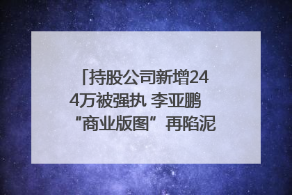 持股公司新增244万被强执 李亚鹏“商业版图”再陷泥潭？｜科技观察