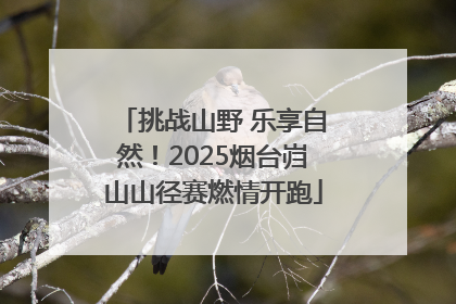 挑战山野 乐享自然！2025烟台岿山山径赛燃情开跑