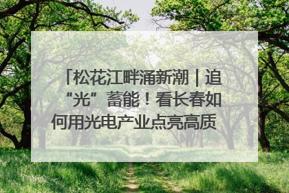 松花江畔涌新潮｜追“光”蓄能！看长春如何用光电产业点亮高质量发展新赛道