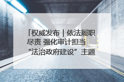 权威发布｜依法履职尽责 强化审计担当 “法治政府建设”主题系列新闻发布会市审计局专场召开