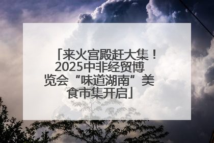 来火宫殿赶大集！2025中非经贸博览会“味道湖南”美食市集开启
