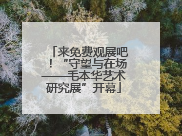 来免费观展吧！“守望与在场——毛本华艺术研究展”开幕