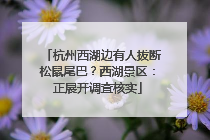 杭州西湖边有人拔断松鼠尾巴？西湖景区：正展开调查核实