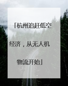 杭州追赶低空经济，从无人机物流开始