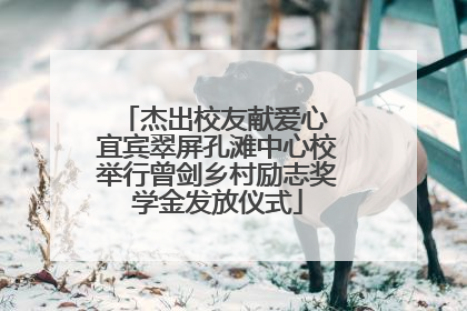 杰出校友献爱心 宜宾翠屏孔滩中心校举行曾剑乡村励志奖学金发放仪式