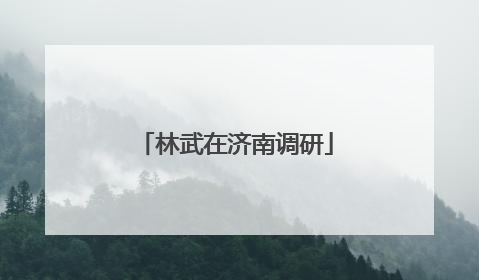 林武在济南调研