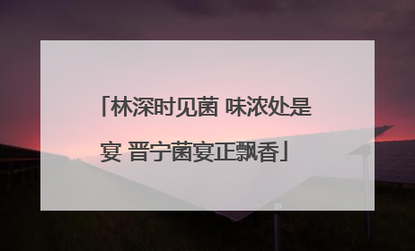林深时见菌 味浓处是宴 晋宁菌宴正飘香