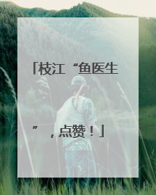枝江“鱼医生”，点赞！