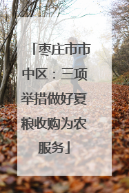 枣庄市市中区：三项举措做好夏粮收购为农服务