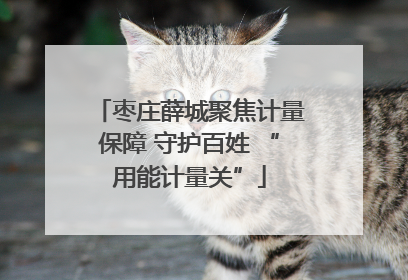 枣庄薛城聚焦计量保障 守护百姓 “用能计量关”