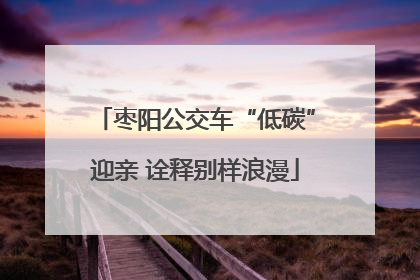 枣阳公交车“低碳”迎亲 诠释别样浪漫