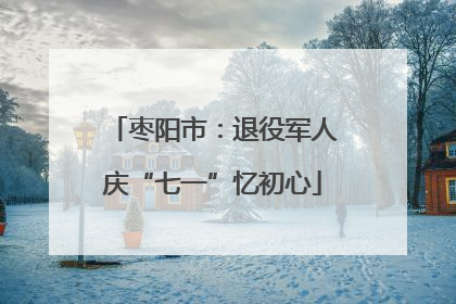 枣阳市：退役军人庆“七一”忆初心
