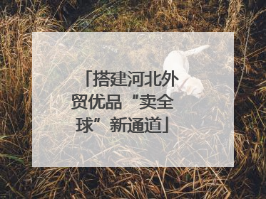 搭建河北外贸优品“卖全球”新通道