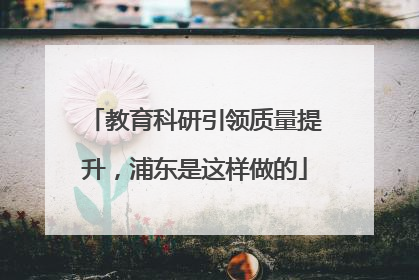 教育科研引领质量提升，浦东是这样做的