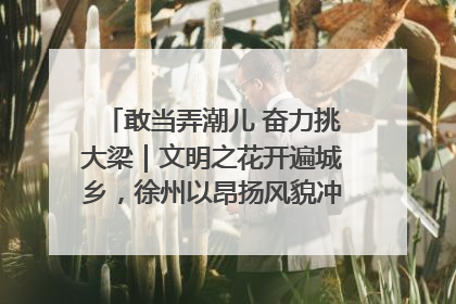 敢当弄潮儿 奋力挑大梁｜文明之花开遍城乡，徐州以昂扬风貌冲刺“万亿之城”