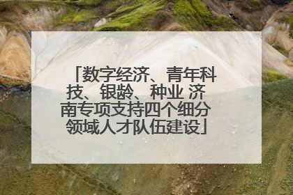 数字经济、青年科技、银龄、种业 济南专项支持四个细分领域人才队伍建设