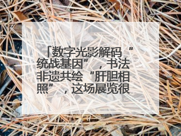 数字光影解码“统战基因”，书法非遗共绘“肝胆相照”，这场展览很有创意！