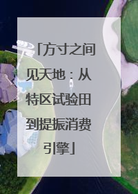 方寸之间见天地：从特区试验田到提振消费引擎