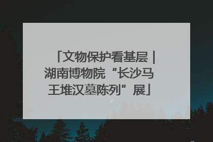 文物保护看基层｜湖南博物院“长沙马王堆汉墓陈列”展