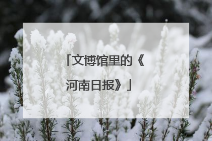 文博馆里的《河南日报》